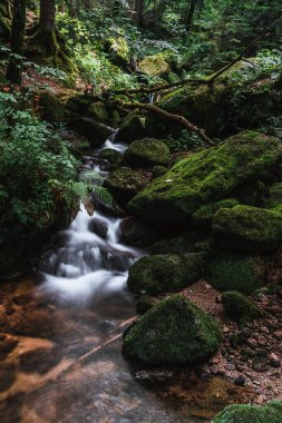 Gertelbach şelaleleri (Schwarzwald), Baden-Wuerttemberg, Almanya