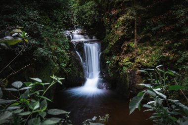 Kara Orman Şelaleleri (Schwarzwald), Baden-Wuerttemberg, Almanya