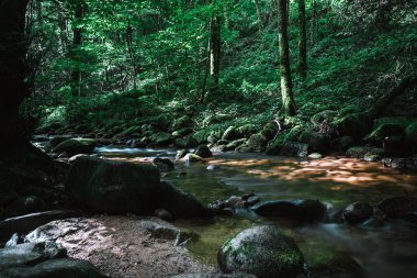 Kara Orman Şelaleleri (Schwarzwald), Baden-Wuerttemberg, Almanya