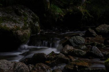Kara Orman 'daki ravenna kanyonu (Schwarzwald)