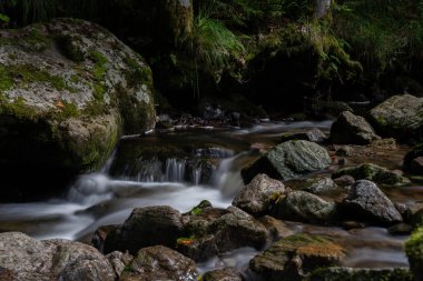 Kara Orman 'daki ravenna kanyonu (Schwarzwald)