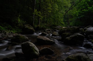 Kara Orman 'daki ravenna kanyonu (Schwarzwald)