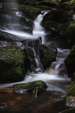 Menzenschwander şelaleleri (Schwarzwald), Baden-Wuerttemberg, Almanya