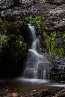 Todtnauer şelaleleri (Schwarzwald), Baden-Wuerttemberg, Almanya