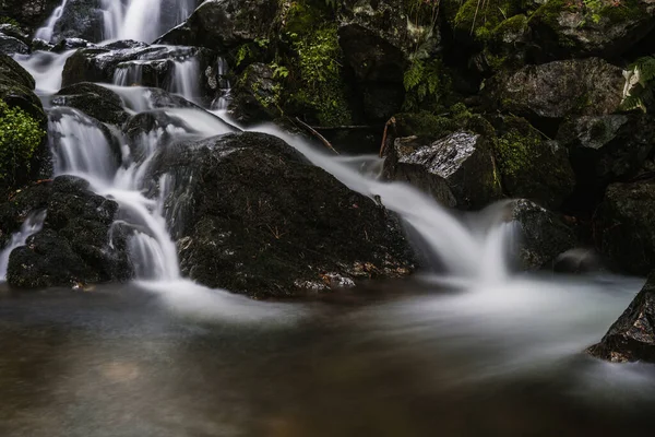 Cascadas Todtnauer Del Bosque Negro Schwarzwald Baden Wuerttemberg Alemania — Foto de Stock