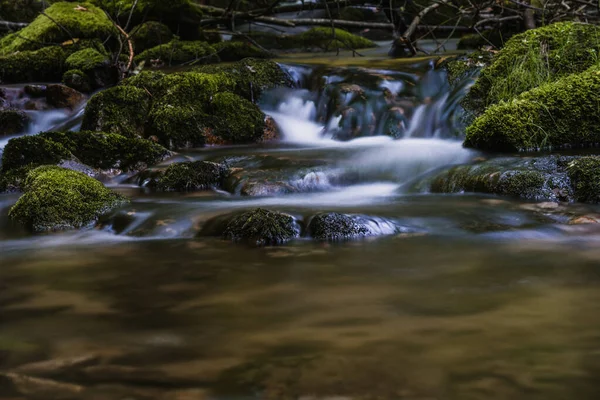 Kara Orman 'ın alerheilijen şelaleleri (Schwarzwald), Baden-Wuerttemberg, Almanya