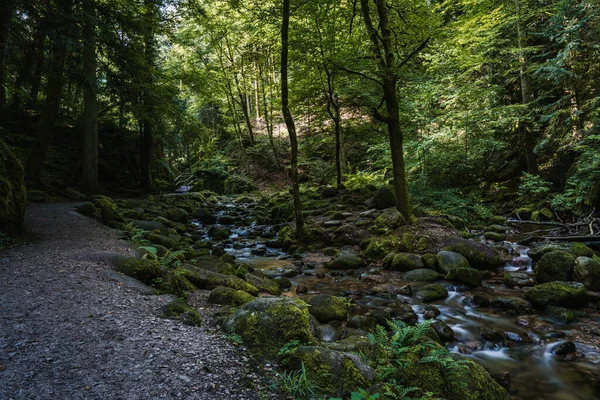 Waterfalls Black Forest Schwarzwald Baden Wuerttemberg Germany — Stock Photo, Image