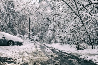 Karla kaplı yollar ve terk edilmiş arabalar tipi ve güçlü rüzgarın ardından.