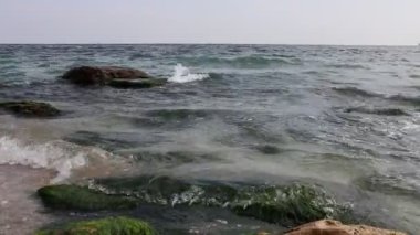 Deniz sörfünün dalgaları kıyı resiflerinde yuvarlanır..