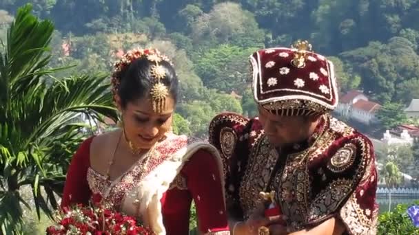 Mariage Traditionnel Dans Sri Lanka Les Jeunes Mariés Sont Habillés — Video