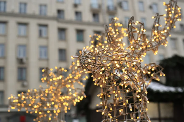 Weihnachtlicher Hirsch — Stockfoto