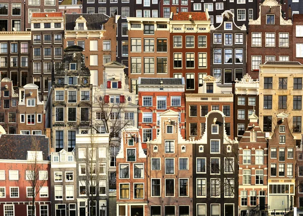 Amsterdama — Zdjęcie stockowe