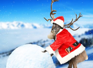 Bir takım elbise Noel Baba giymiş Ren geyiği