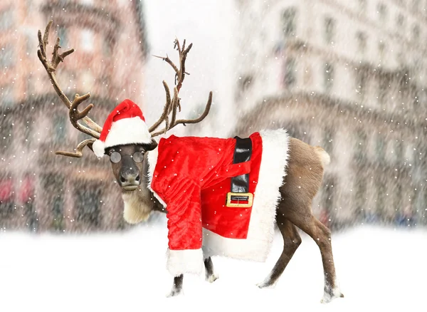 Bir takım elbise Noel Baba giymiş Ren geyiği