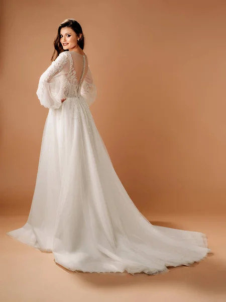 Abito Sposa Posh Abito Sposa Alla Moda Con Tenero Pizzo — Foto Stock