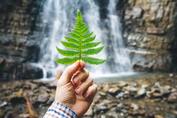 Folha verde de samambaias na mão contra um fundo de rochas e uma cachoeira — Fotografia de Stock