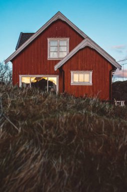 Norveç evleri ve dağları fiyort üzerindeki kayalar İskandinav seyahat manzarası Lofoten adaları.