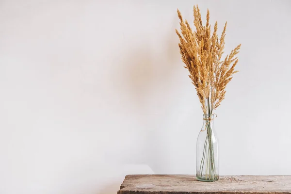 Ainda Vida Buquê Flores Secadas Uma Garrafa Vidro Uma Mesa — Fotografia de Stock