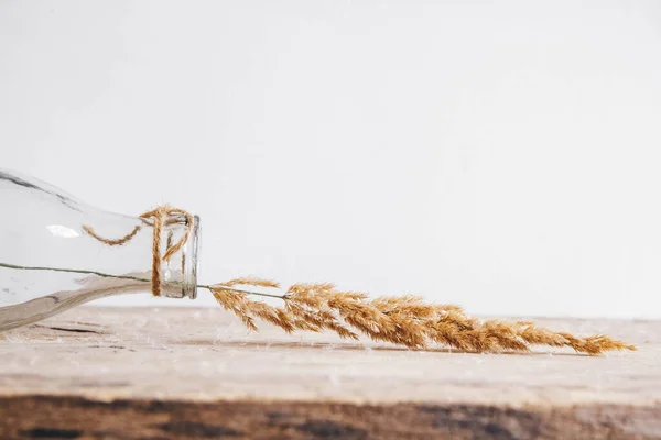 Ainda Vida Buquê Flores Secadas Uma Garrafa Vidro Uma Mesa — Fotografia de Stock