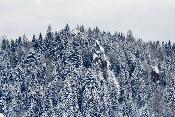Hermoso Paisaje Invierno Con Árboles Cubiertos Nieve Lugar Para Texto — Foto de Stock