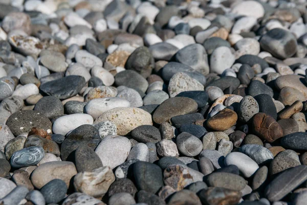 彩色石头的碎石图案 摘要天然卵石背景 石头背景 海燕海滩 — 图库照片