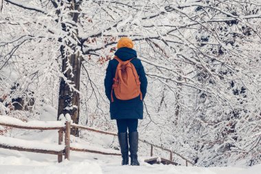 Genç kız, güzel bir kış gününde sık bir ormanda yürüyüş yapıyor. Arkadan ateş et. Metin veya reklam için yer.