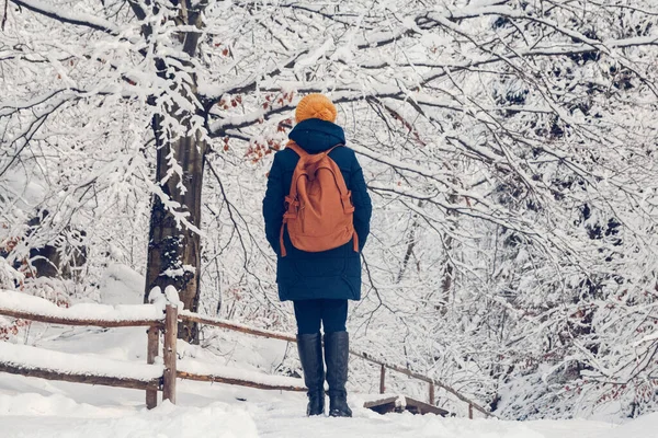 Genç kız, güzel bir kış gününde sık bir ormanda yürüyüş yapıyor. Arkadan ateş et. Metin veya reklam için yer.