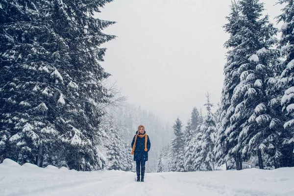 Красивая Молодая Девушка Зимнем Лесу Зимний Портрет Девушки Кепке Шарфе — стоковое фото