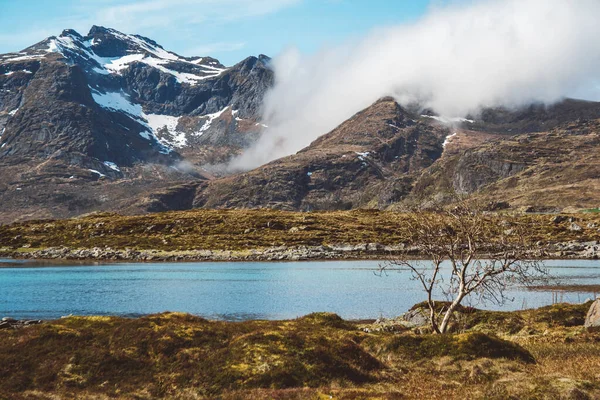 Lofoten Adalarındaki Norveç Dağları Manzaraları Doğal Skandinav Manzarası Metin Veya — Stok fotoğraf