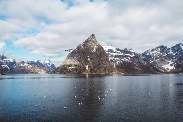 Lofoten Adalarındaki Norveç Dağları Manzaraları Doğal Skandinav Manzarası Metin Veya — Stok fotoğraf