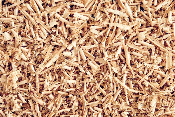 Texture of wood shavings as a background image. Background of fresh wood shavings. Copy, empty space for text.
