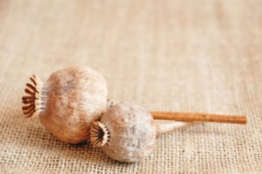 Keten kumaşta kurutulmuş afyon haşhaşı. Kopyala, metin için boşluk.