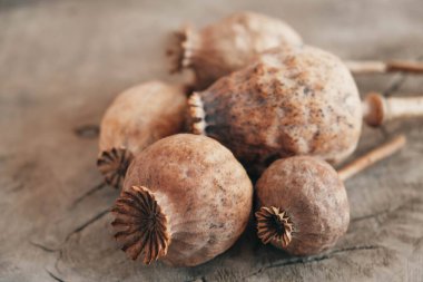 Ahşap arka planda kurutulmuş afyon haşhaşı. Üst Manzara. Kopyala, metin için boşluk.