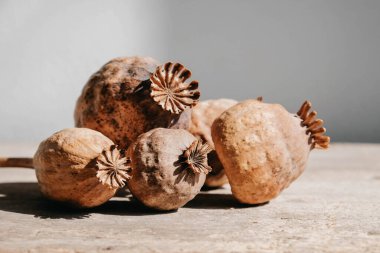 Ahşap yüzeyde kurutulmuş afyon haşhaşı. Kopyala, metin için boşluk.