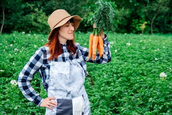 Hermosa Agricultora Sostiene Montón Zanahorias Sonriendo Cámara Con Sombrero Paja — Foto de Stock