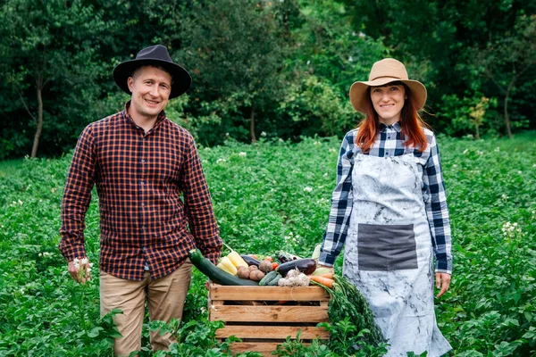 Man and woman farmers in hats holding fresh organic vegetables in a wooden box on the background of a vegetable garden. Copy, empty space for text.