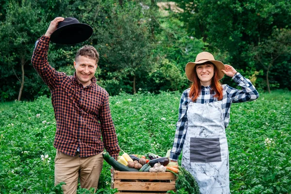 Man and woman farmers in hats holding fresh organic vegetables in a wooden box on the background of a vegetable garden. Copy, empty space for text.