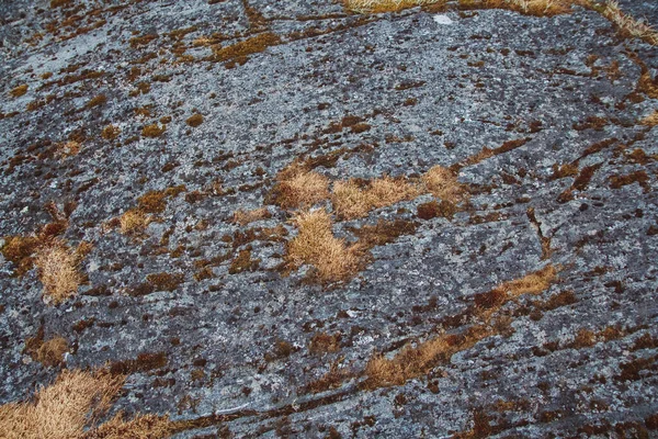 Textur Natursten Med Mossa Och Mögel Plats För Text Eller — Stockfoto