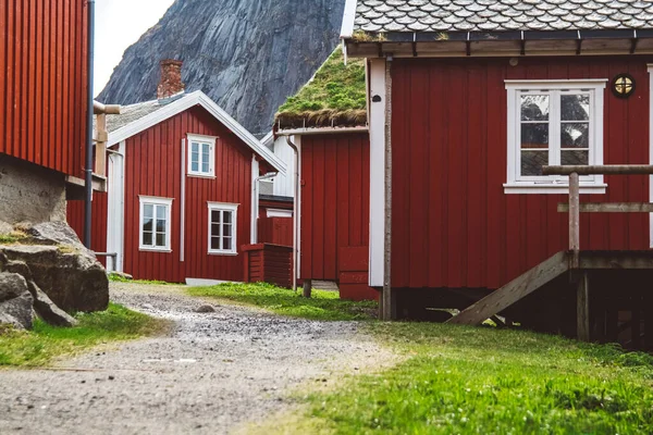 Norveç evleri ve dağları fiyort üzerindeki kayalar İskandinav seyahat manzarası Lofoten adaları.