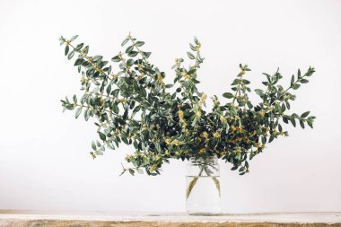 Ahşap bir masada cam bir kavanozda bir sürü yeşil dal. Kopyala, metin için boşluk.