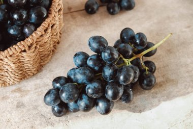 Eski ahşap bir masanın üzerinde yuvarlak bir sepetin içinde bir demet siyah üzüm. Kopyala, metin için boşluk.