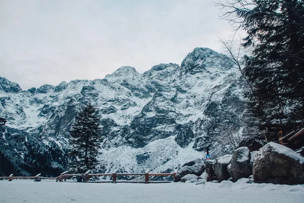 Paisaje Invernal Bosque Nevado Rocas Lugar Para Texto Publicidad — Foto de Stock