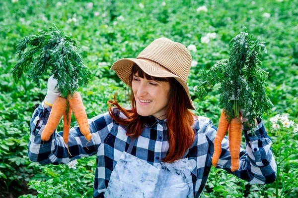 Retrato Hermosa Agricultora Sostiene Montón Zanahorias Sonriendo Sombrero Paja Rodeado — Foto de Stock