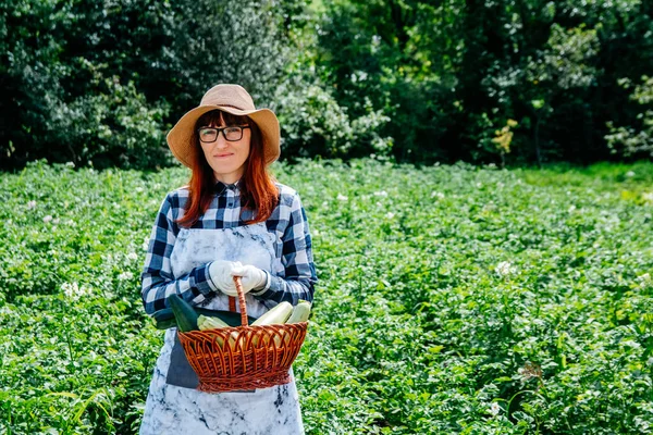Retrato Hermosa Agricultora Sostiene Calabacín Una Canasta Mimbre Con Sombrero — Foto de Stock
