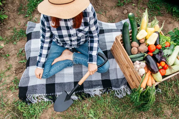 stock image Beautiful female farmer with a shovel on a blanket near fresh organic vegetables in a wooden box against the background of a vegetable garden. Top view.