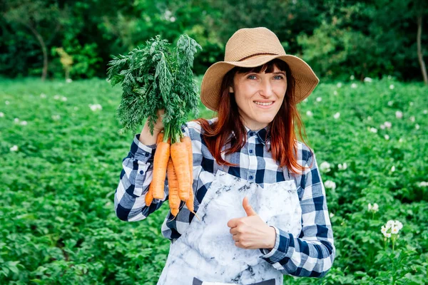 Mujer Agricultora Sosteniendo Montón Zanahorias Frescas Sombrero Paja Sobre Fondo — Foto de Stock