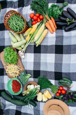Ekosenin arka planında taze organik sebzeler. Mesaj için yer. Biyolojik ürünler, biyolojik ekoloji kavramı, sizin tarafınızdan yetiştirilmiş, vejetaryenler..