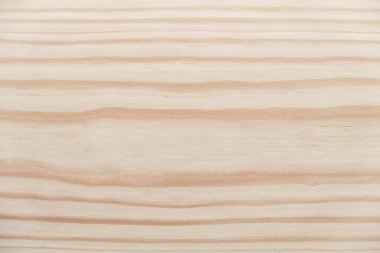 Arka plan olarak hafif doğal çam ağacının dokusu. Üst Manzara. Kopyala, metin için boşluk.