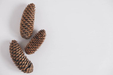 Beyaz arka planda üç kozalak. Üst Manzara. Kopyala, metin için boşluk.