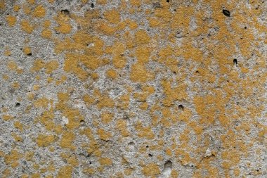 Arka plan olarak gri beton yüzey dokusu. Kopyala, metin için boşluk.